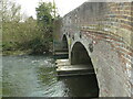 TM1678 : River Waveney at Billingford Bridge by Adrian S Pye