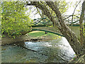 TM2885 : River Waveney passing beneath Homersfield Bridge by Adrian S Pye