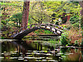 SJ7481 : Tatton Park Japanese Garden, The Almond Eye Bridge by David Dixon