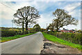 SJ7780 : Mobberley, Broad Oak Lane by David Dixon