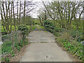 TM2179 : A sleeper bridge crosses the River Waveney by Adrian S Pye