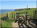 NZ9309 : Cleveland Way, near Hawsker by Malc McDonald