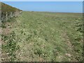 TA2072 : Permissive path to Bempton cliffs by Christine Johnstone