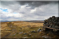 SD8497 : Pennine Way at Great Shunner Fell by Andy Waddington