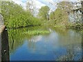 TM3288 : The mill race at Earsham Mill by Adrian S Pye