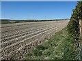 SE9874 : Bare chalky field, east of Allison Wold Farm by Christine Johnstone