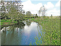 TM3390 : River Waveney upstream from Ditchingham Dam by Adrian S Pye