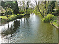 TM3389 : River Waveney downstream from Falcon Bridge by Adrian S Pye