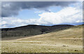 NY0711 : Gentle grassy slope at Kinniside Common by Trevor Littlewood