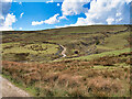 SD9218 : Pennine Bridleway at Turn Slack Clough by David Dixon