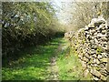 SD2784 : The Cumbria Way near Gawthwaite by Adrian Taylor