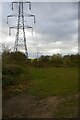 TM2854 : Pylon lines crossing Byng Lane by Christopher Hilton