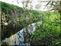 TM2160 : River Deben upstream at Ashfield by Adrian S Pye