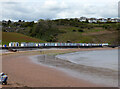 SX8957 : Broadsands Beach by Chris Allen