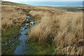 SX6566 : Two Moors Way above the Avon by Derek Harper