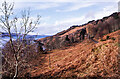 NM4727 : Dead bracken on slope above Loch Scridain by Trevor Littlewood