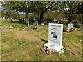 SU4015 : Grave of Frederick Fleet, the Titanic lookout in Hollybrook Cemetery by Marathon