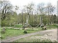 NZ0831 : Play equipment in Hamsterley Forest by Oliver Dixon