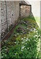 SO4522 : Garway - St Michael's Church - remains of Templar circular nave by Rob Farrow