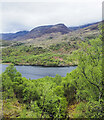 NN1761 : Woodland on slope descending to Loch Leven by Trevor Littlewood