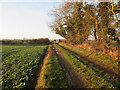 TA0759 : Track  through  fields  with  tree  trunk  barrier by Martin Dawes