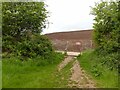 SK6243 : Footpath to Lambley and the Gedling Access Road  1 by Alan Murray-Rust