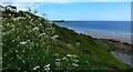 NX3540 : The coast at Monreith Bay by Gordon Brown