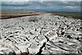 NY6410 : Limestone pavement in Great Asby Scar NNR by Andy Waddington