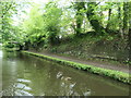 SJ6887 : Cutting on the Bridgewater Canal, Lymm by Christine Johnstone