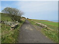 NZ9407 : Cinder Track near Robin Hood's Bay by Malc McDonald