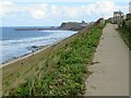 NZ8811 : Cleveland Way approaching Whitby by Malc McDonald