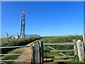 TQ3802 : Mast at Saltdean by Marathon