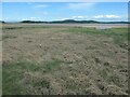 SD4077 : Salt marsh, Grange-over-Sands by Christine Johnstone