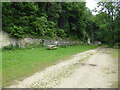 SO8001 : Remains of buildings above Woodchester Mansion by Chris Allen