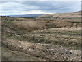 SD9713 : Moorland bog, Windy Hills, Bleakedgate Moor by Christine Johnstone