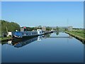 SJ7286 : Pipe bridge, east of Agden Bridge [no 26] by Christine Johnstone