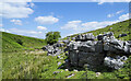 NY6745 : Limestone outcrop above Woldgill Burn by Trevor Littlewood