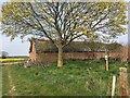 SP3666 : Sycamore, barn, and HS2 Japanese Knotweed warning, Fields Farm near Offchurch by Robin Stott