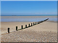 TR0824 : Littlestone Beach at Low Tide by Des Blenkinsopp