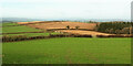 SX8361 : Fields near Berry Pomeroy by Derek Harper