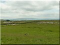 SD9970 : Limestone pavement on Langcliffe by Stephen Craven