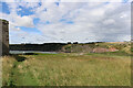 NO7153 : Rock type influencing the vegetation cover at Boddin Point, Angus by Andrew Diack