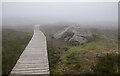 H1129 : The Cuilcagh Boardwalk by Rossographer