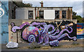 J5081 : Street art, Bangor by Rossographer