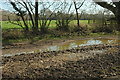 SX8573 : Slightly flooded field, Templer Way by Derek Harper