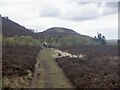 NT5432 : Eildon Hills by Richard Webb