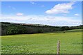 NZ0647 : View west from Healeyfield Lane by Robert Graham