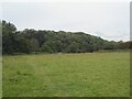 SS8978 : Open ground and ancient woodland in the south of Bridgend by eswales