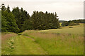 NT9438 : Public Footpath from Hay Farm to Etal Rhodes, Northumberland by Andrew Tryon