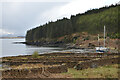 NG2542 : Coastline at Loch Bharcasaig, Skye by Andrew Tryon